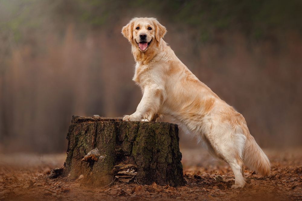 Photograph by Яна Нарбутович