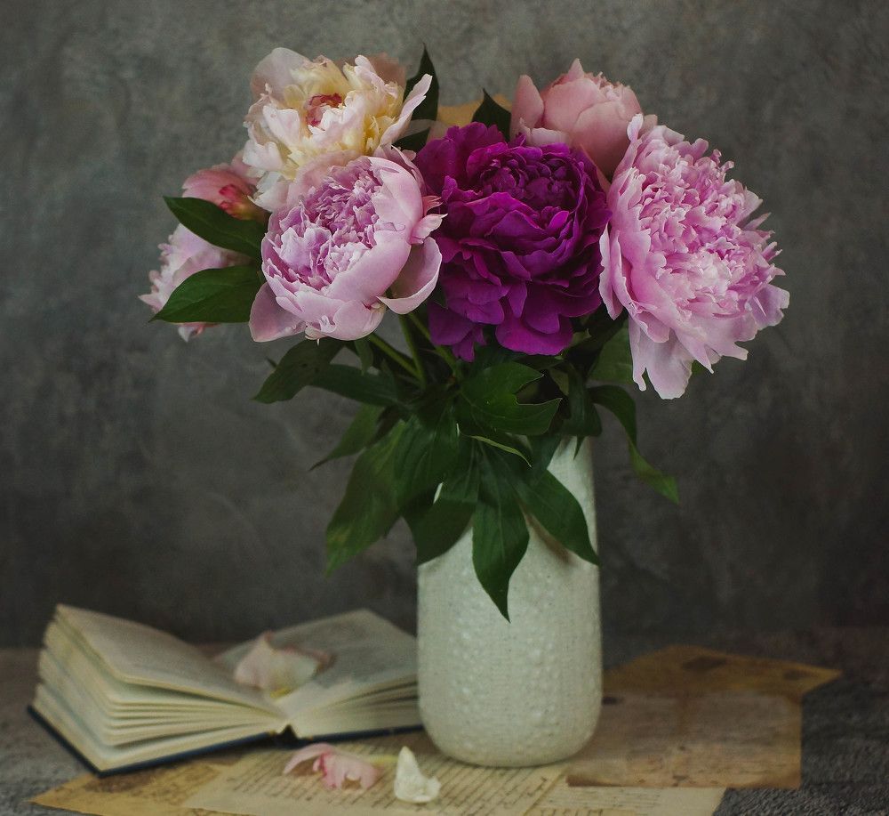 Photograph by Наталья Екимова