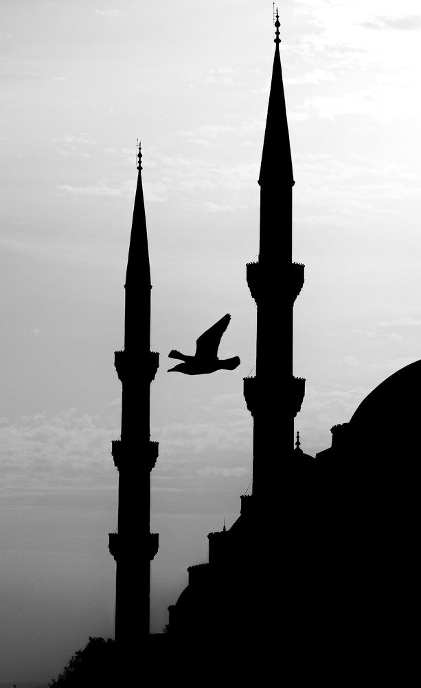 Photograph by Vladimir Kostirya