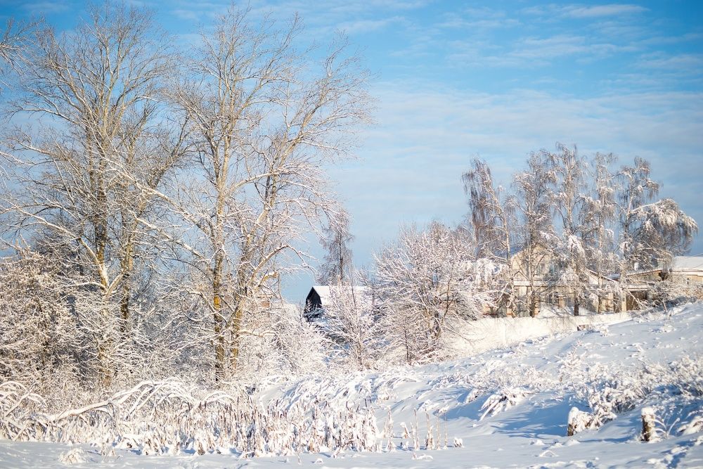 Photograph by Максим Торохов