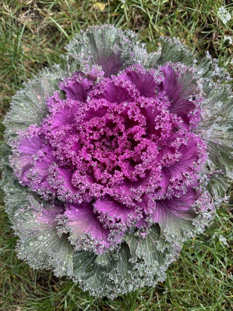 Photograph by Бойкова Наталия