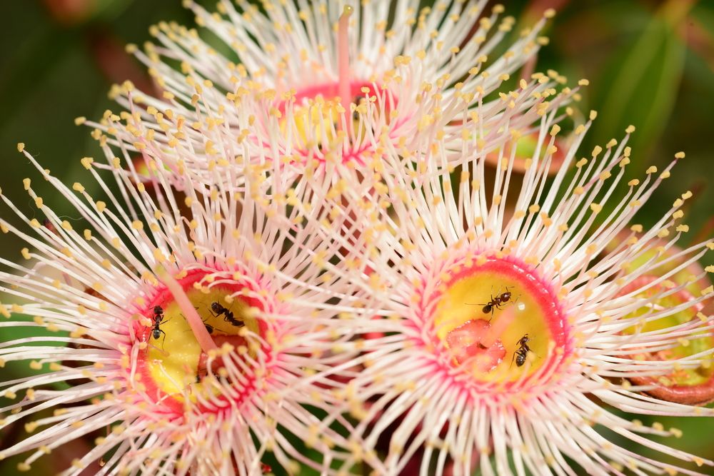 Photograph by Игорь Двойных