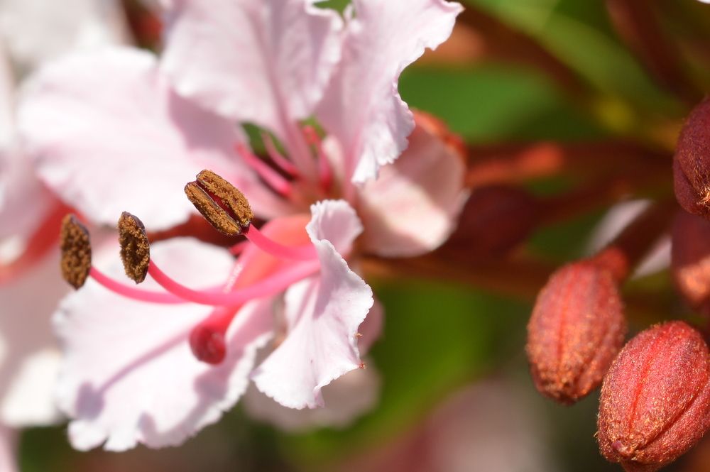 Photograph by Игорь Двойных