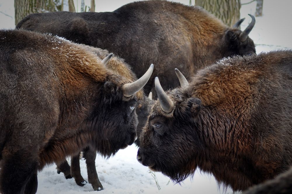 Photograph by Екатерина Молчанова