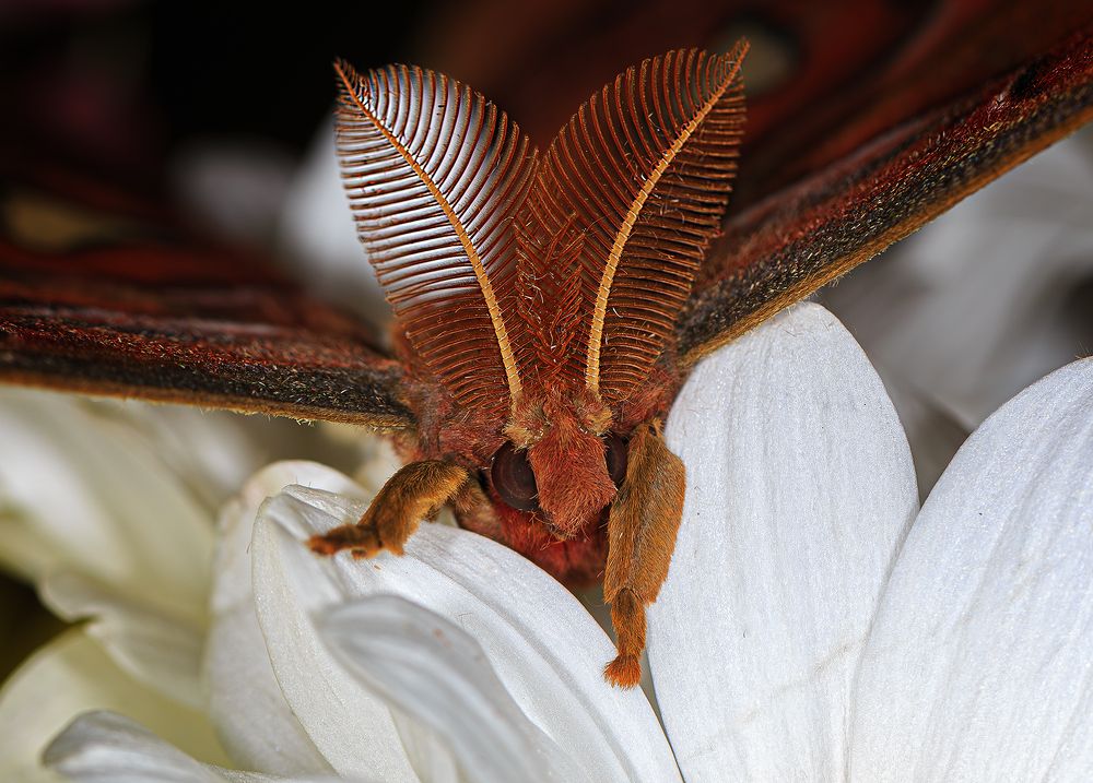 Photograph by Борис Новиков