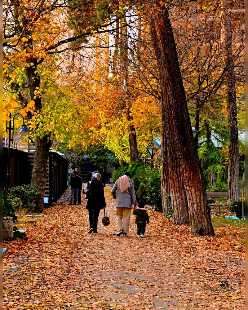 Фотография автора behrooz roosta