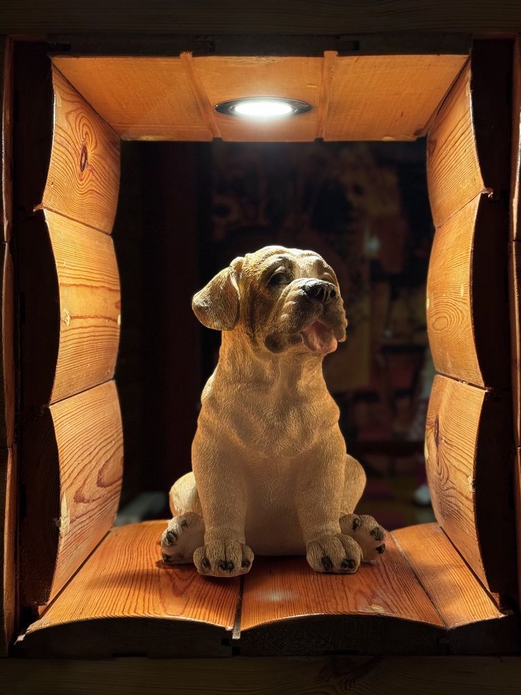 Photograph by Zhanna Kolesnikova