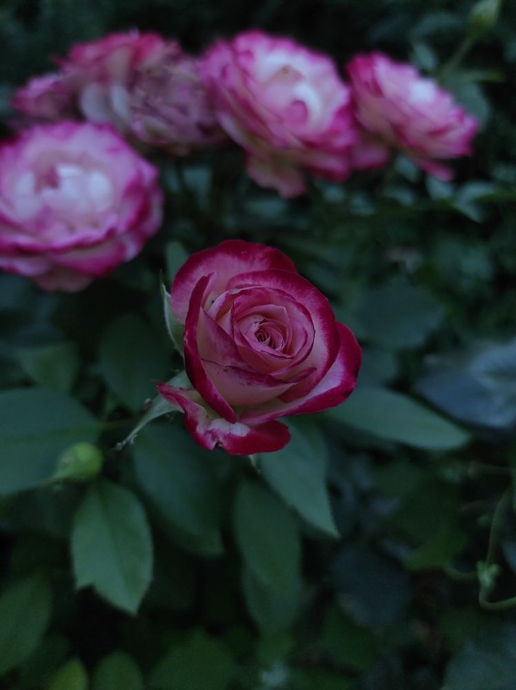 Photograph by Ольга Самылкина