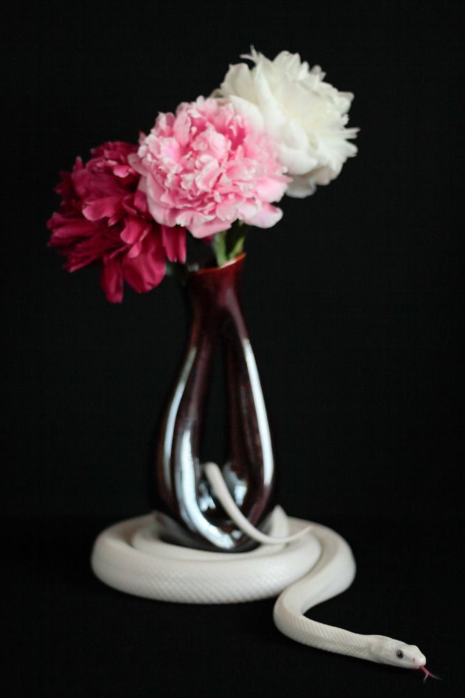 Красота в деталях