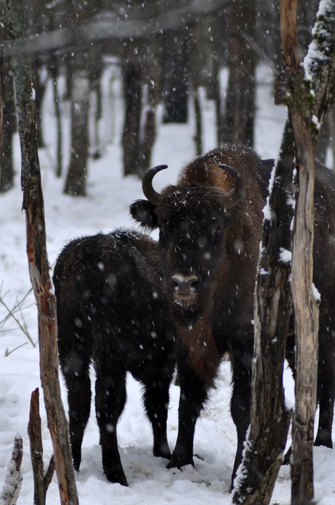 Photograph by Екатерина Молчанова