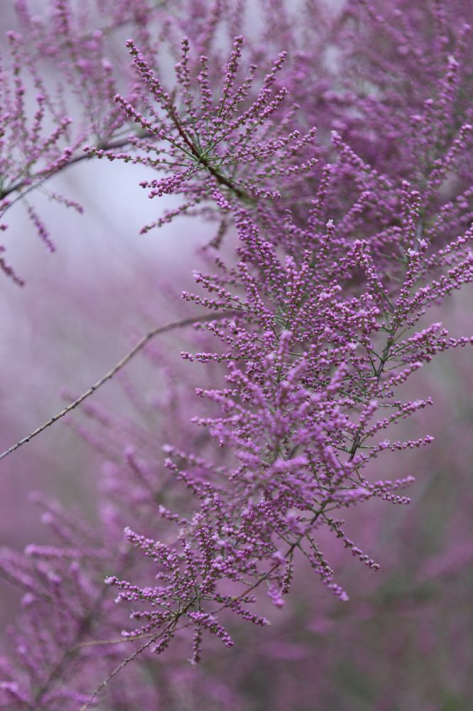 Photograph by Унку Юрий