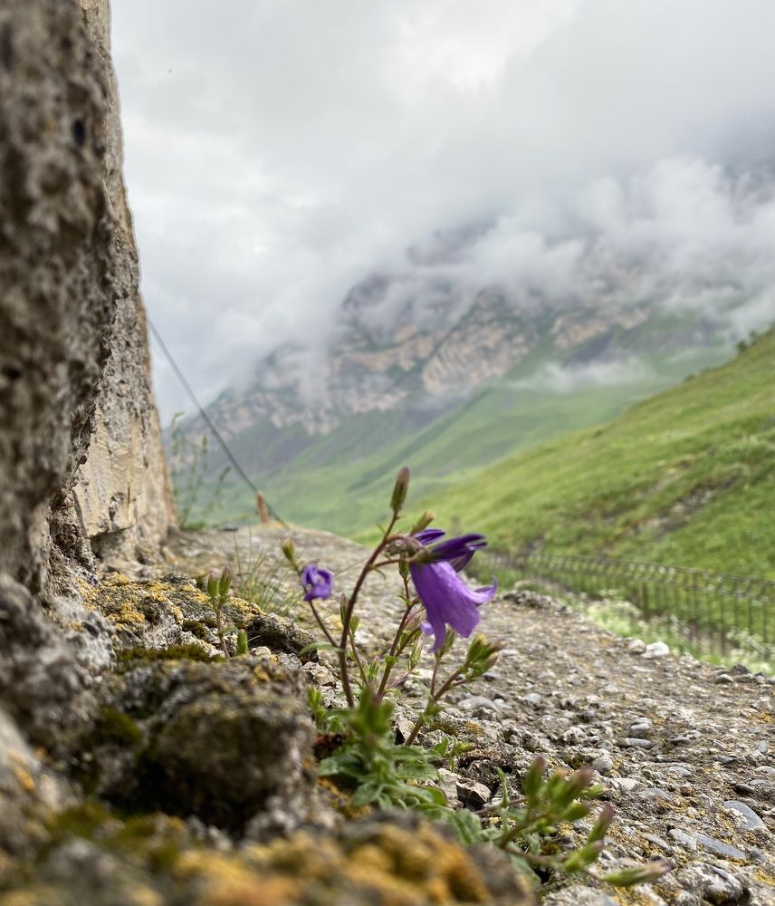 Photograph by Алиса Лукина