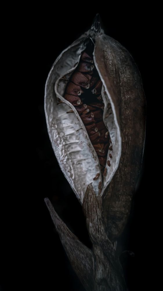 Фотография автора Наталья Алексеева