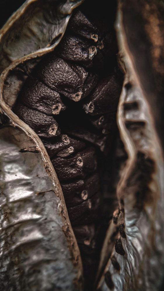 Фотография автора Наталья Алексеева