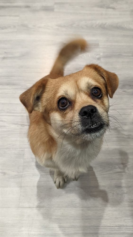 Фотография автора Васильева Ирина