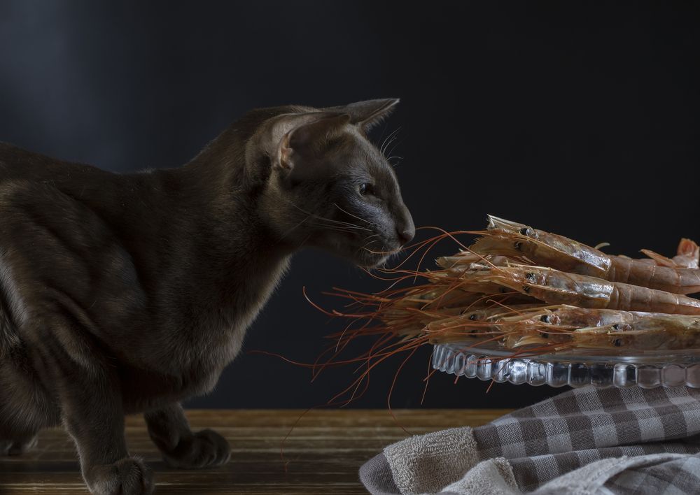 Photograph by Татьяна Феденкова