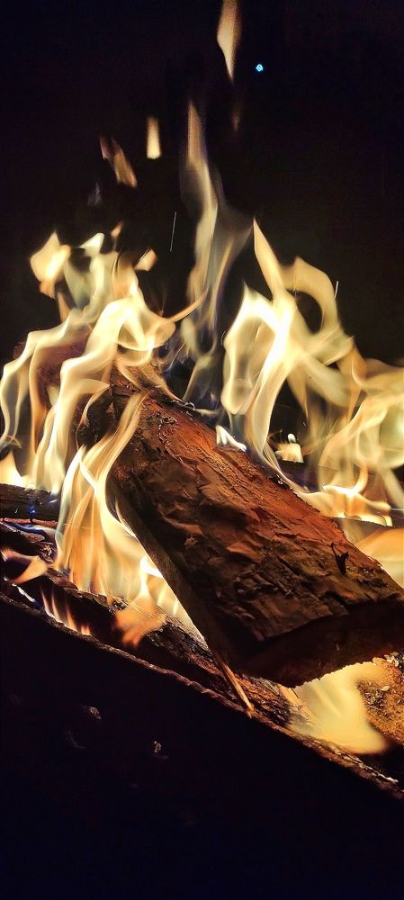 Фотография автора Васильева Ирина