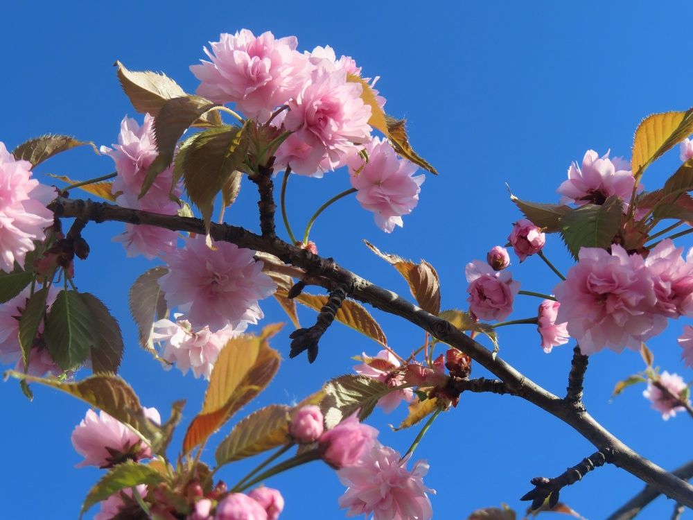 Photograph by Елена Жукова