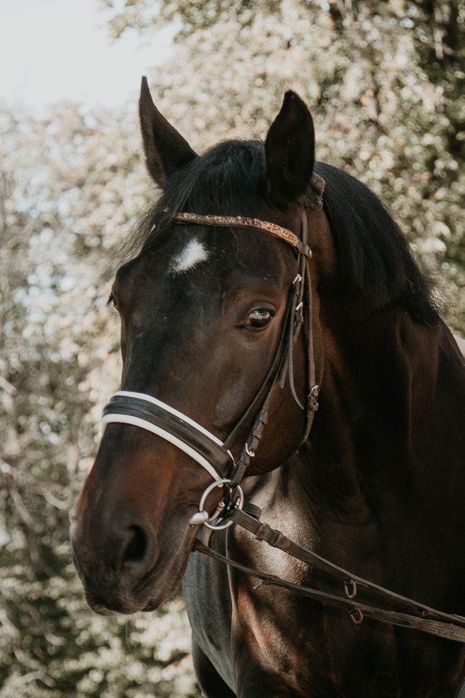 Photograph by Ольга Осинина