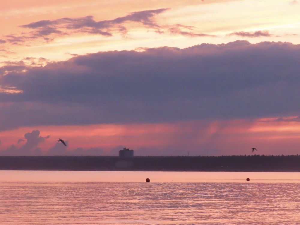 Photograph by Елена Жукова