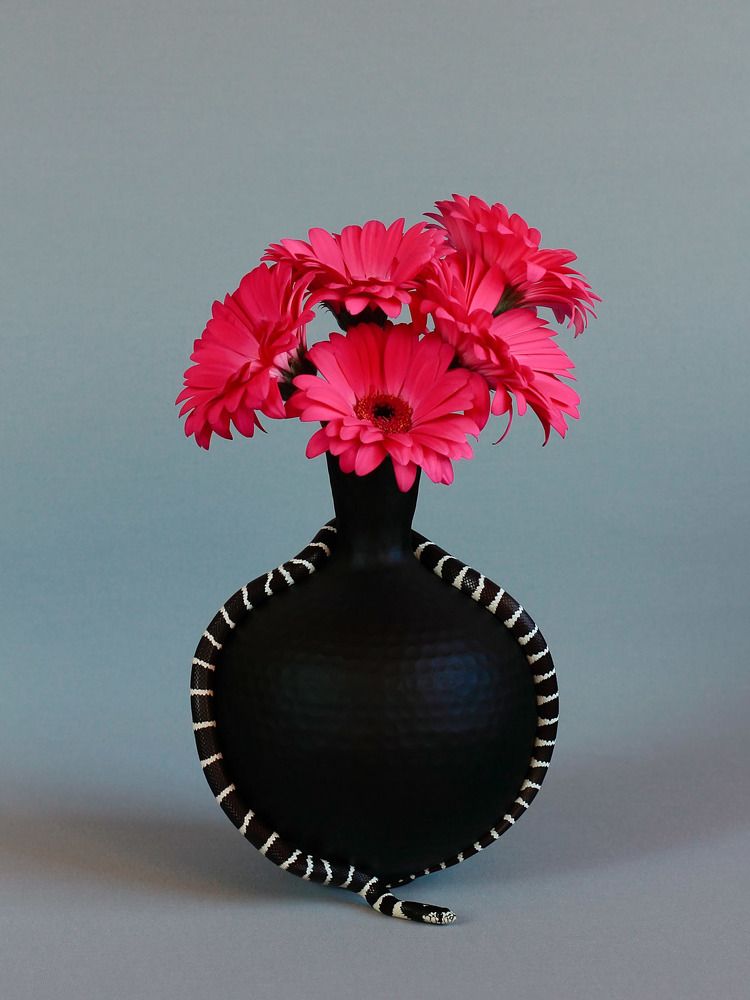 Красота в деталях