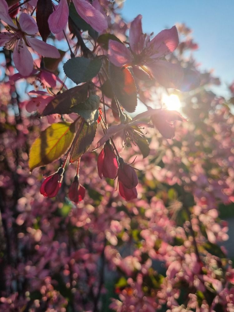 Photograph by Александра