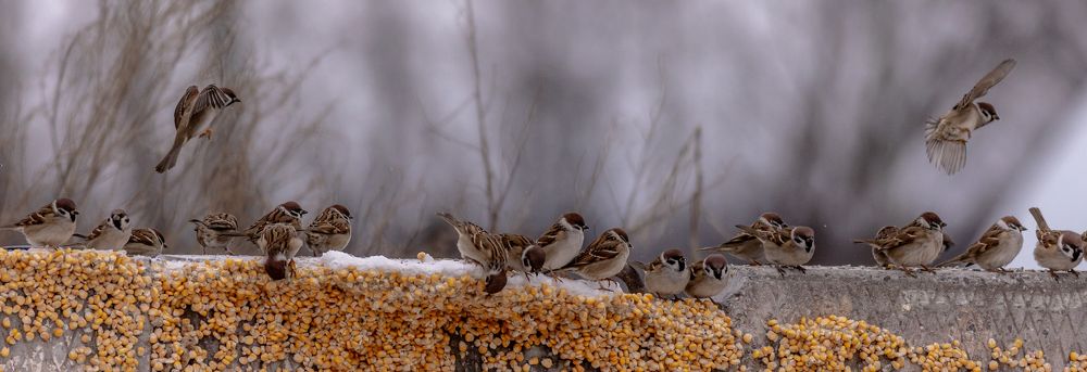 Photograph by Алексей Широбоков