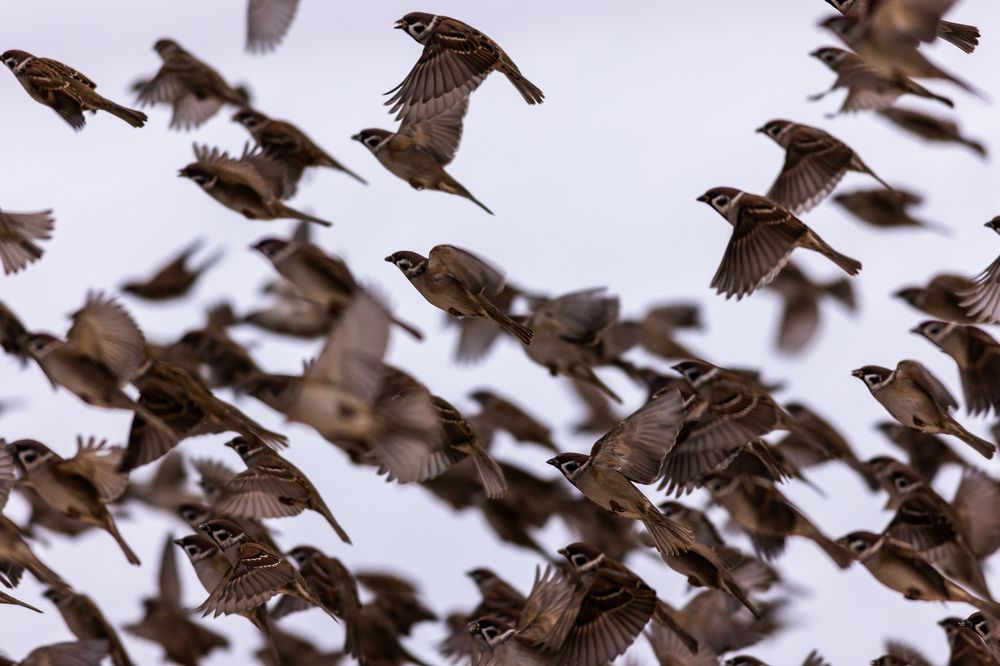 Photograph by Алексей Широбоков