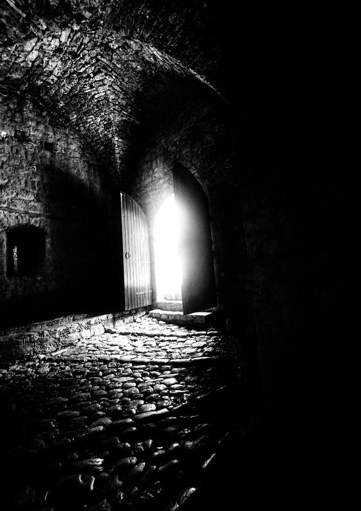 Фотография автора JELENA VASIC