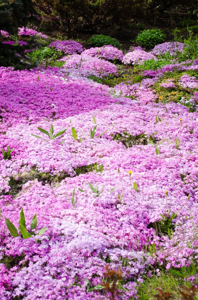 Photograph by Татьяна Герасимцева