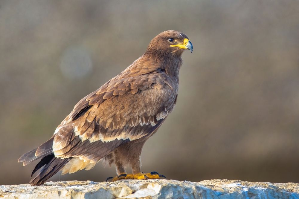 Photograph by Власов Егор