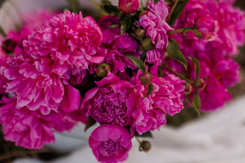 Photograph by Ольга Денисёнок