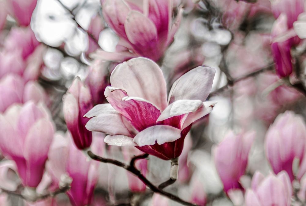 Photograph by Ольга Семина