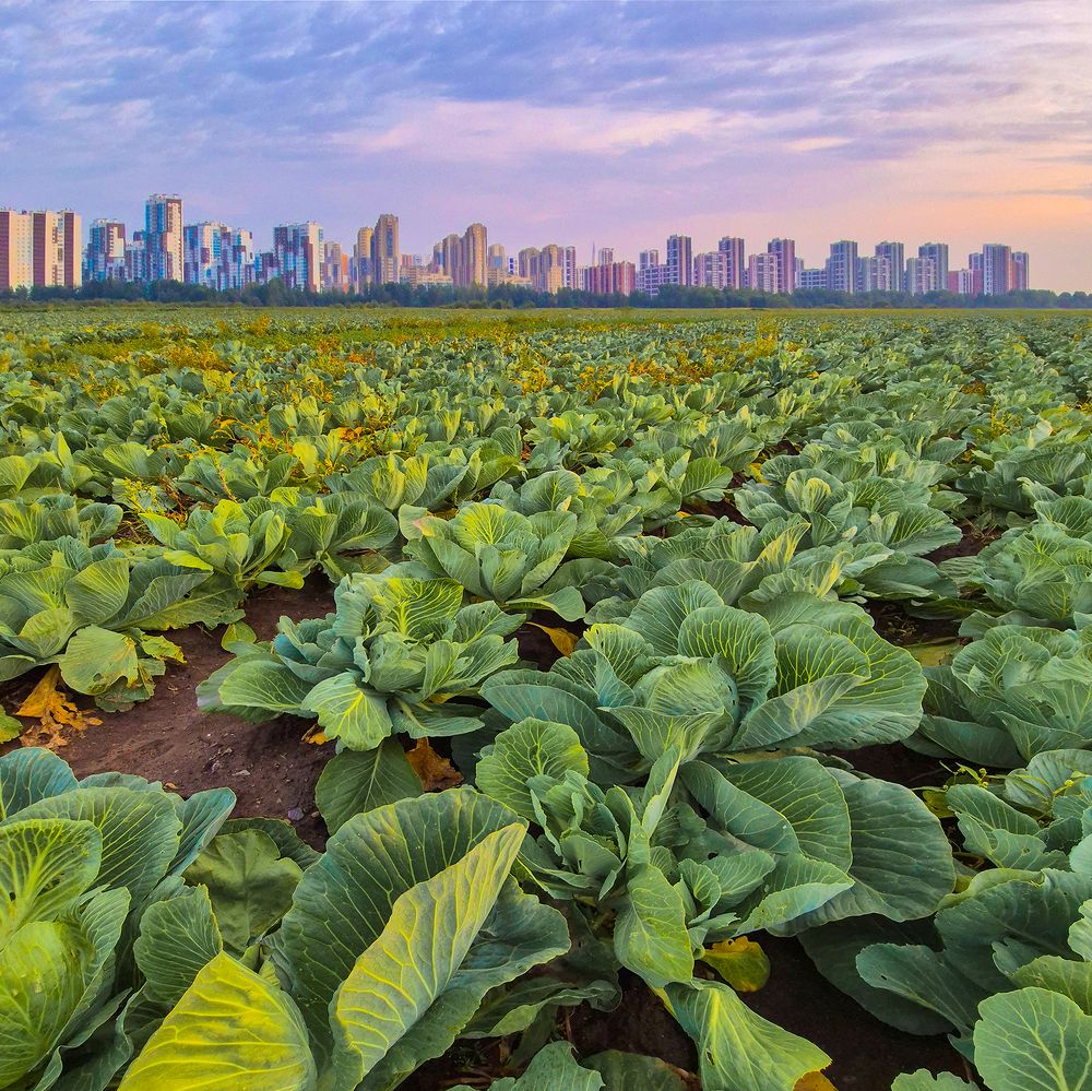 Photograph by Анжелика Титова