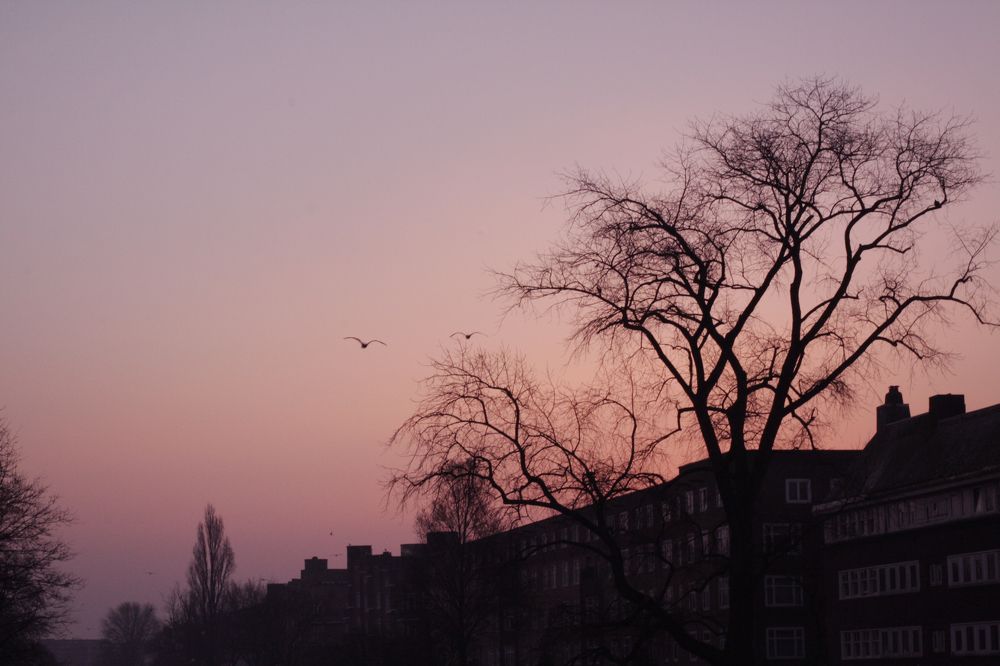 Photograph by Ионова Татьяна