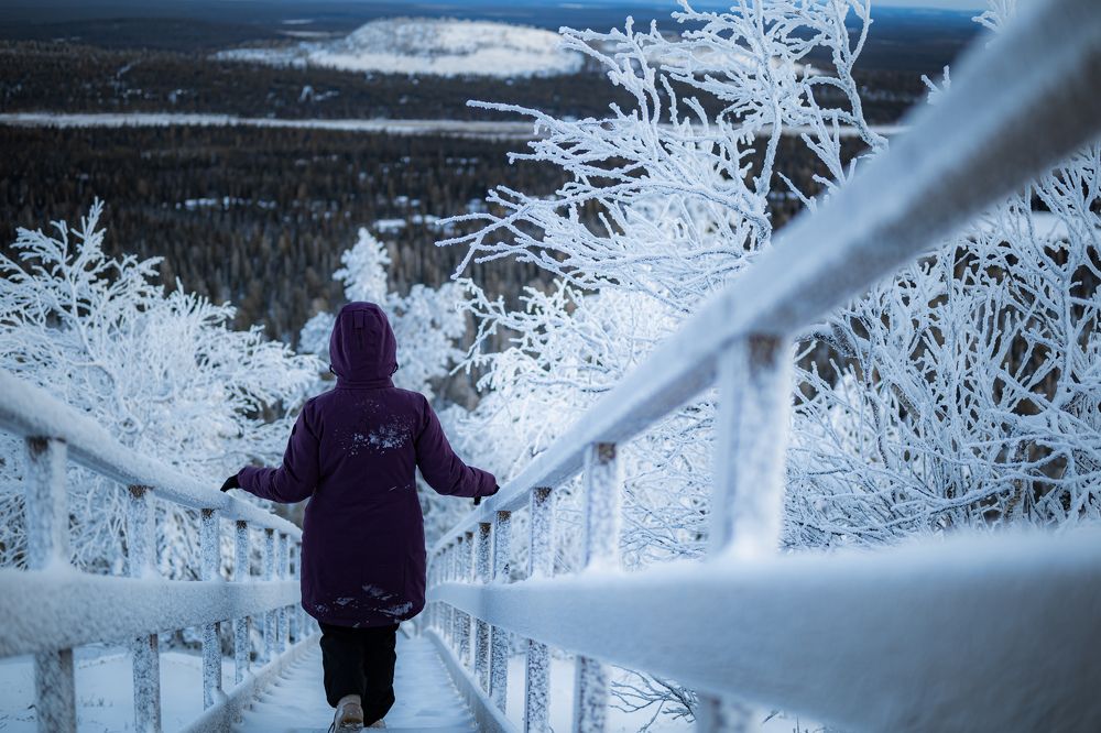 Photograph by Nikolay Zapolnov