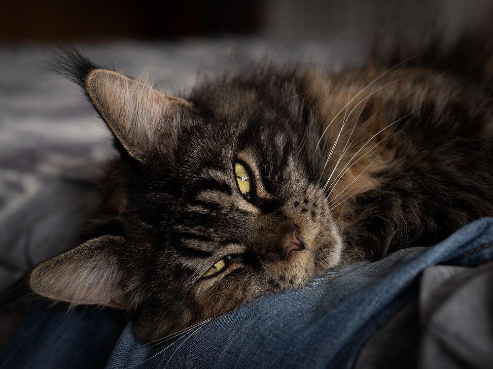 Photograph by Александр Луппов