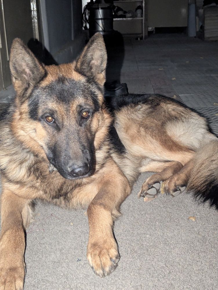 Photograph by Ishaq Karim