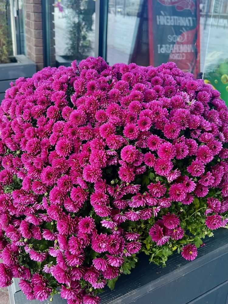 Photograph by Татьяна Михайловна