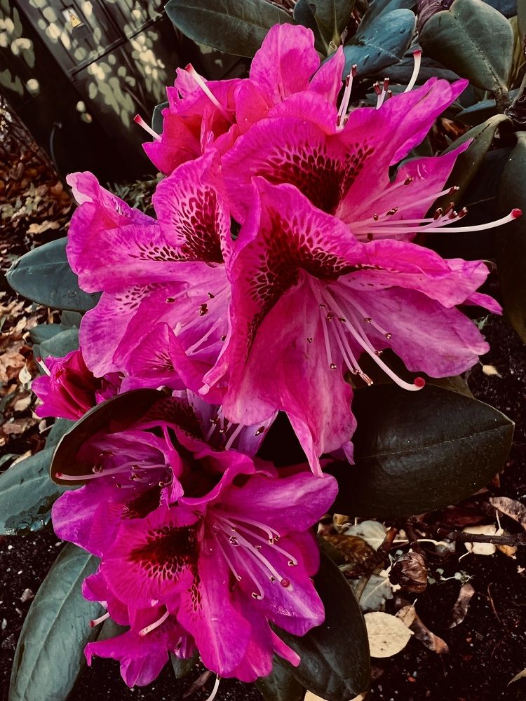 Photograph by Татьяна Михайловна