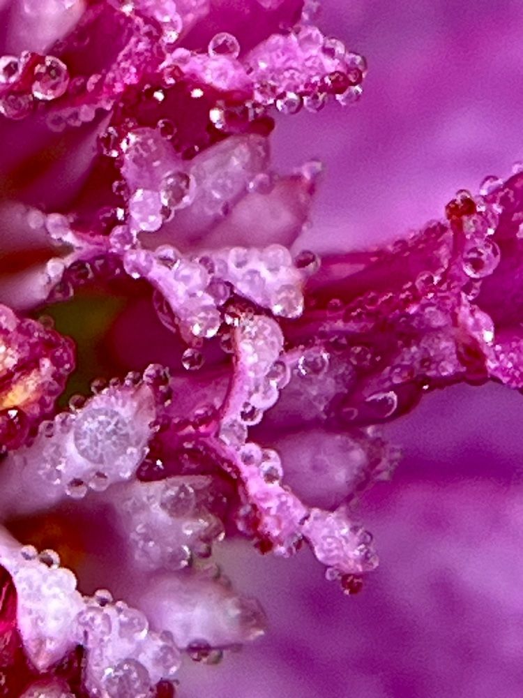 Photograph by Татьяна Михайловна