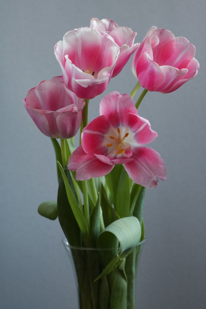 Photograph by Надежда Зайцева