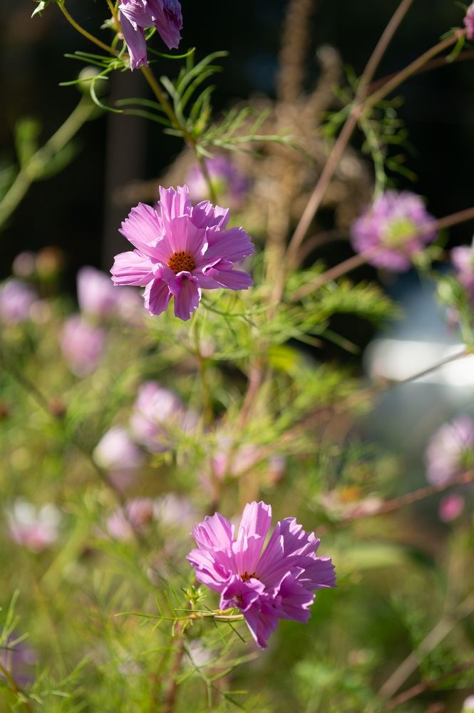 Photograph by Екатерина Одинцова