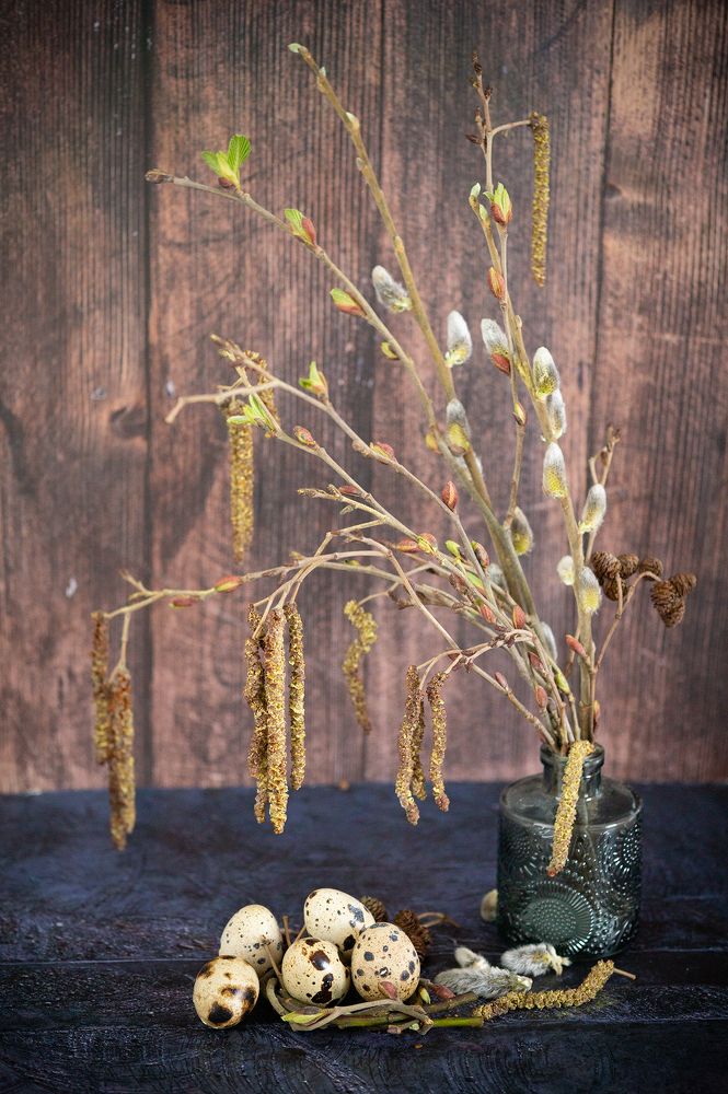 Photograph by Екатерина Одинцова