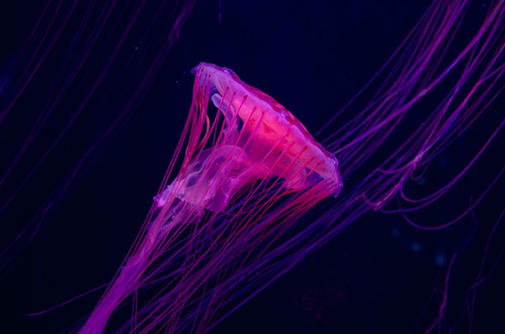 Photograph by Татьяна Герасимцева