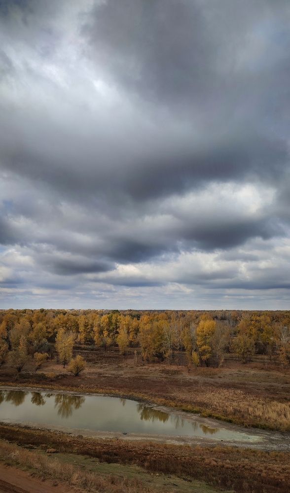 Фотография автора Анастасия Мамаева