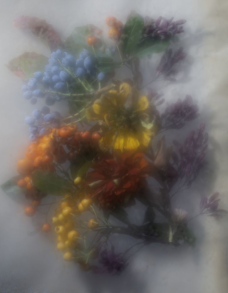 Photograph by Éva Toldi