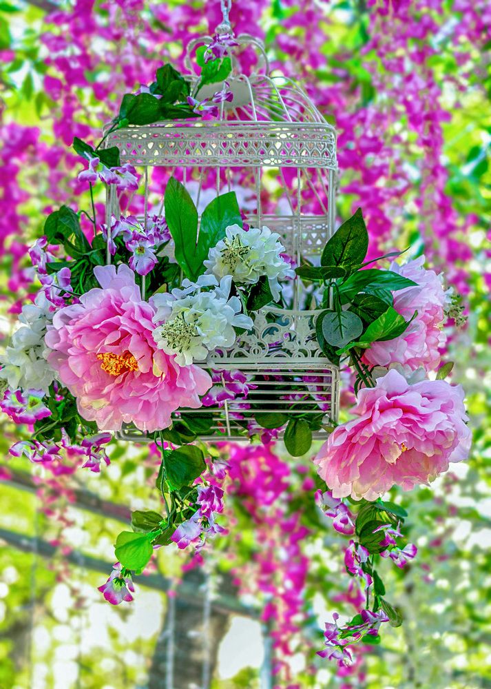 Photograph by Вишневецкая Светлана