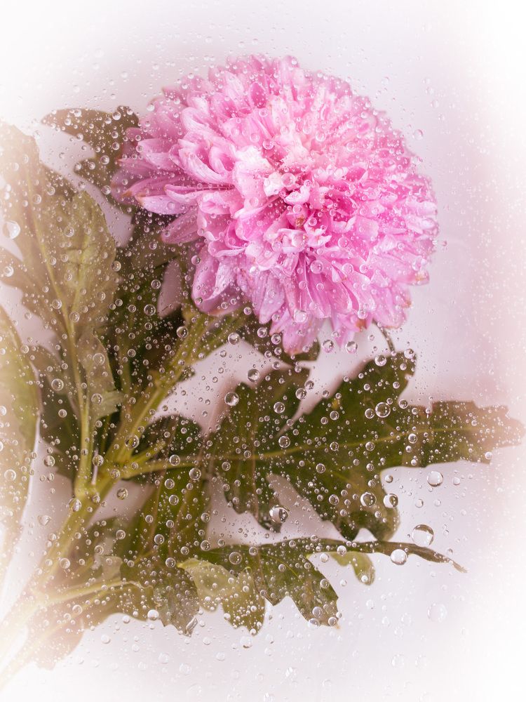 Photograph by Yulia Niki