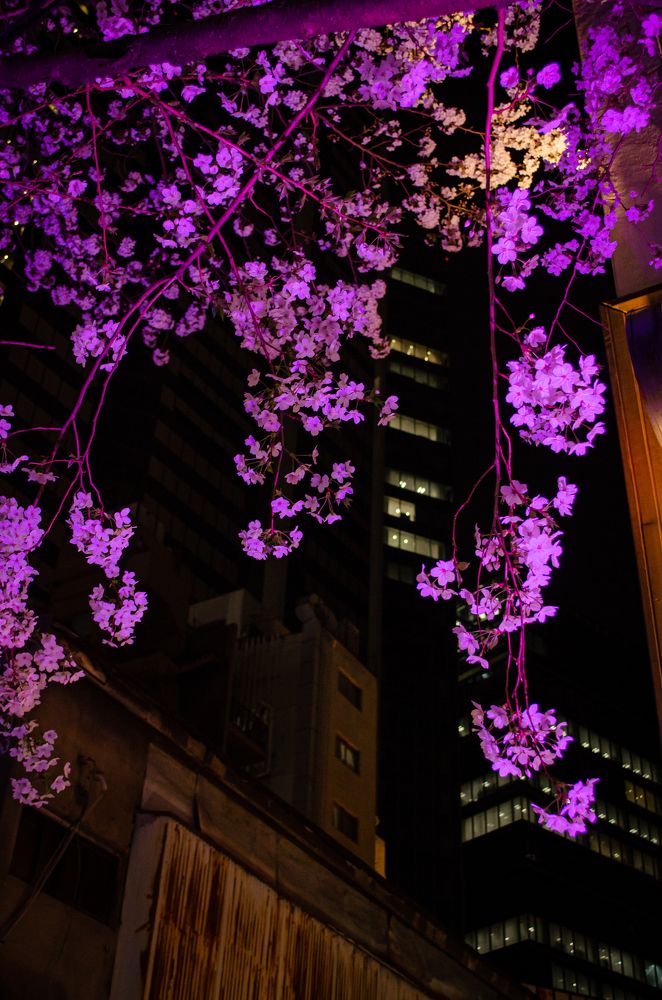 Photograph by Татьяна Герасимцева